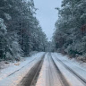 Meet your Posher, Perry